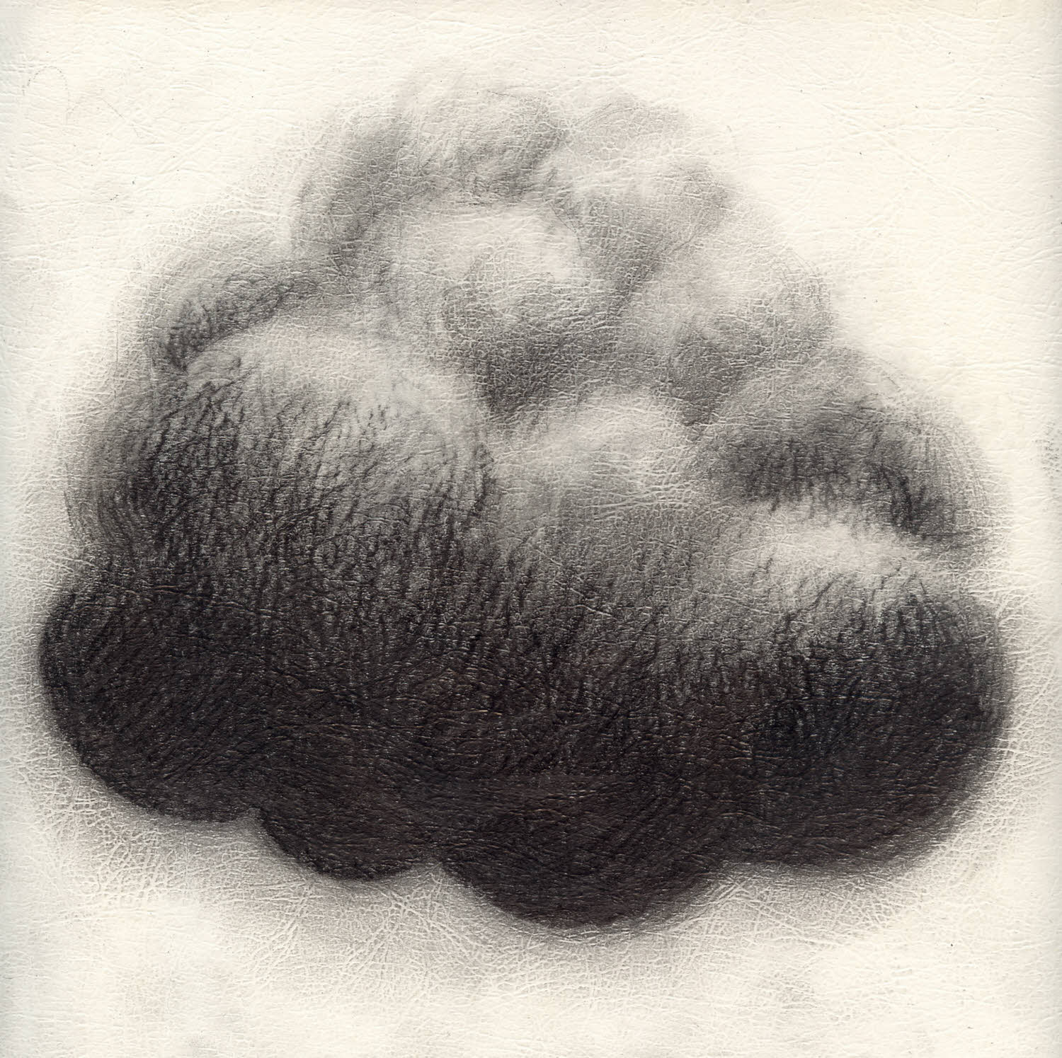 Confuse, 2005, graphite on texture paper, 7.5x7.5 inches
